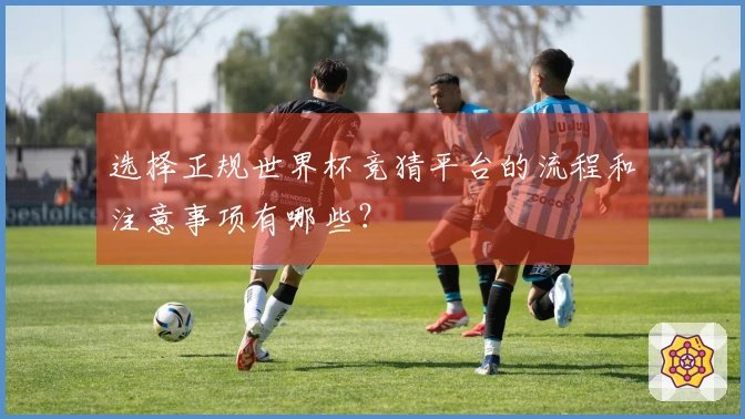 选择正规世界杯竞猜平台的流程和注意事项有哪些?